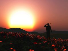 HodgePodge: Roy never grew up