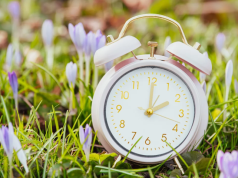 HodgePodge: Only time will tell