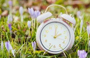 HodgePodge: Only time will tell