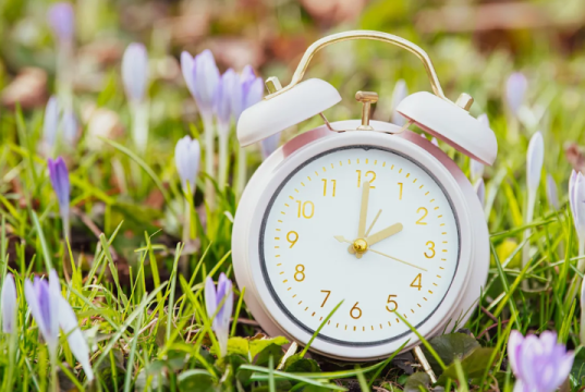 HodgePodge: Only time will tell