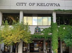 HodgePodge: Are you contemplating running for city council?